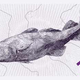 Image for article titled Think Norway’s new bank notes are cool? You should see the ones they rejected